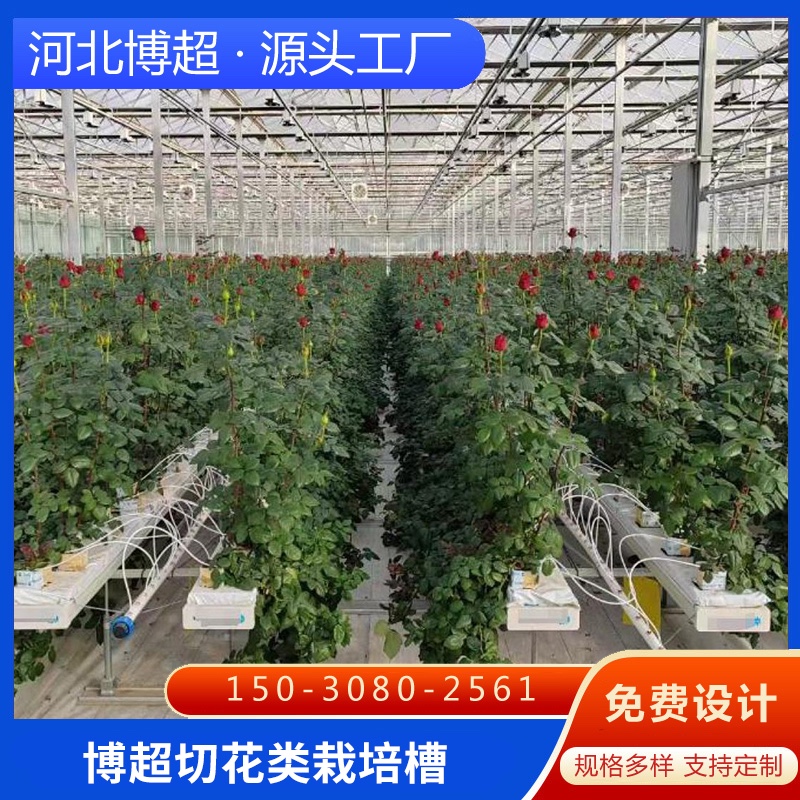 畢節(jié)漿果類栽培槽