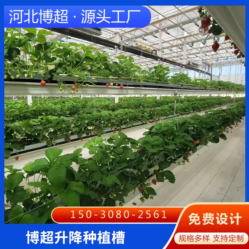 畢節(jié)升降類栽培槽